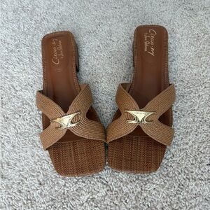 Sam Edelman Woven Brown Slide Sandals